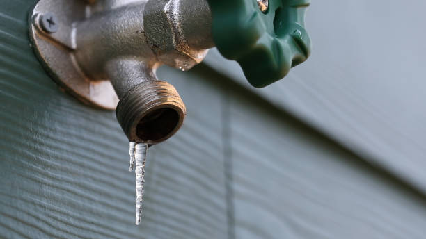 Best Plumbing Services Near Me  in Nice, CA